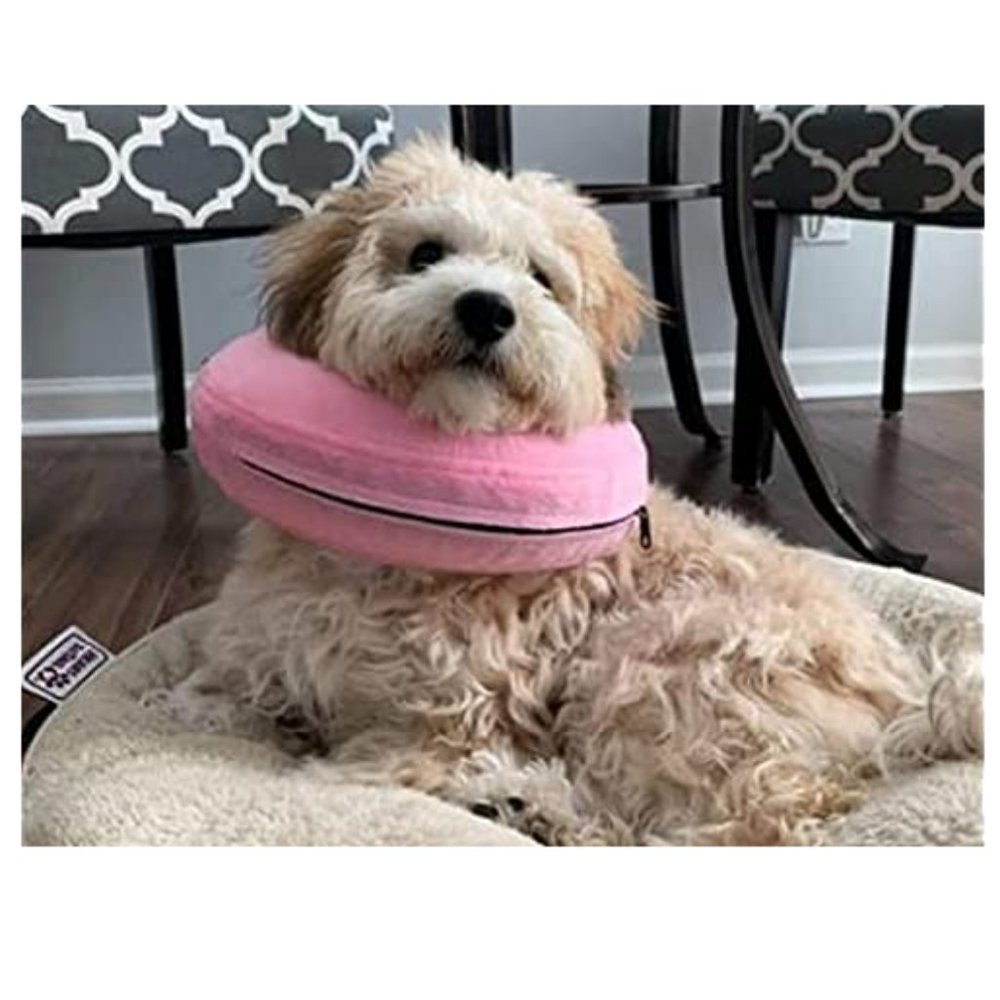 Katoggy Pets Inflatable Recovery Dog Collar